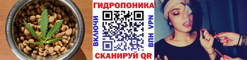 Купить закладки  Инза  Еда ТГК конопля 