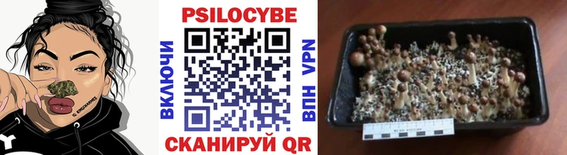 Галлюциногенные грибы MAGIC MUSHROOMS  Купить где  Инза 